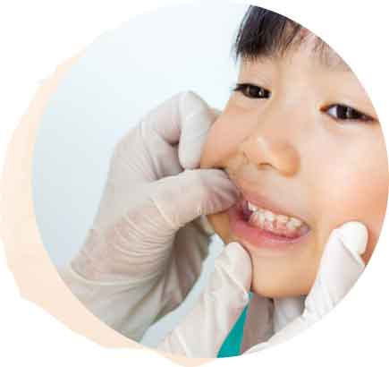 健全なあごの成長、歯並びを作り上げる